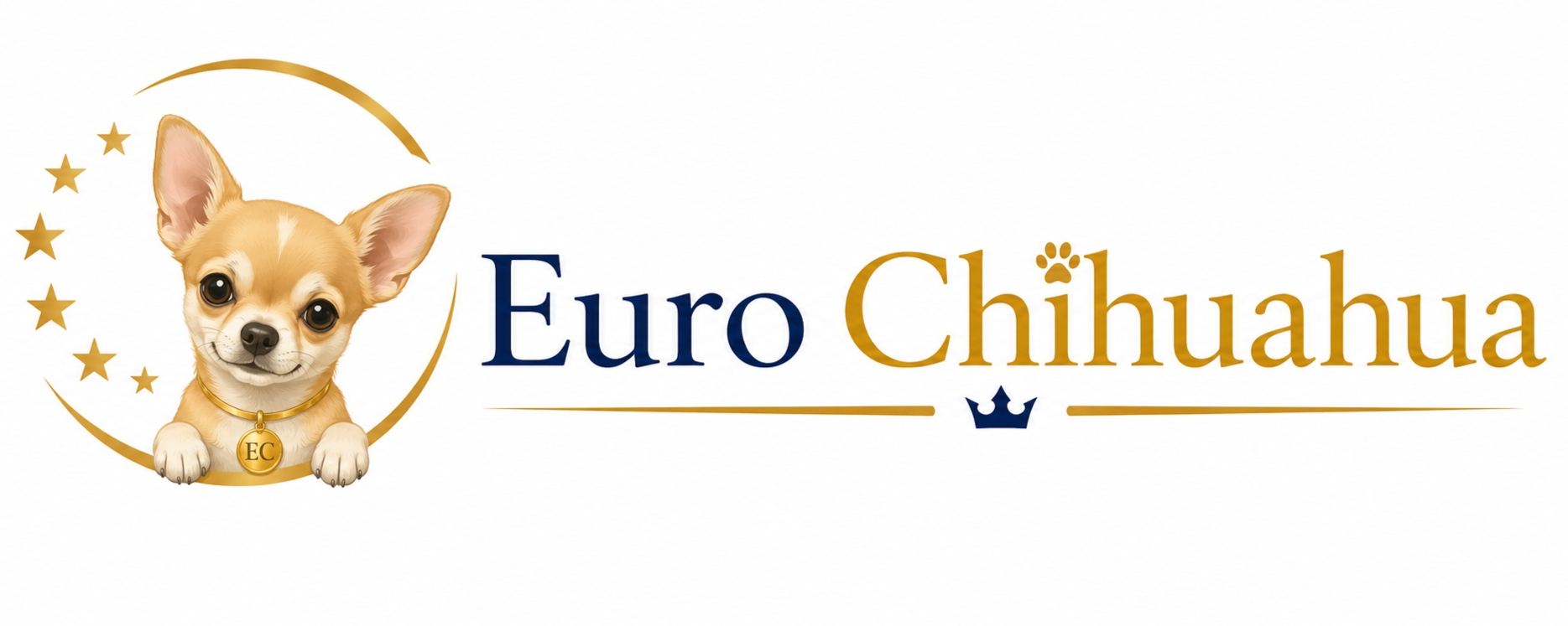 EURO CHIHUAHUA